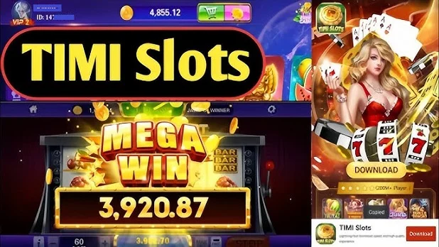 timi slots 2 pak img